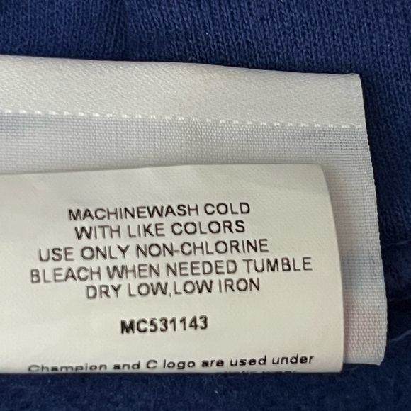 CHAMPION GRAPHIC HOODIE - Picture 10 of 10